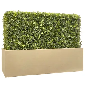 Faux Boxwood Hedge in Planter 30"