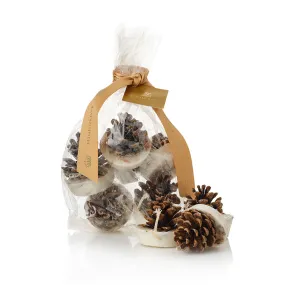 Festive Firelighters (Pack of 6)