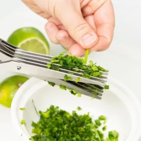 Five-layer Herb Scissors