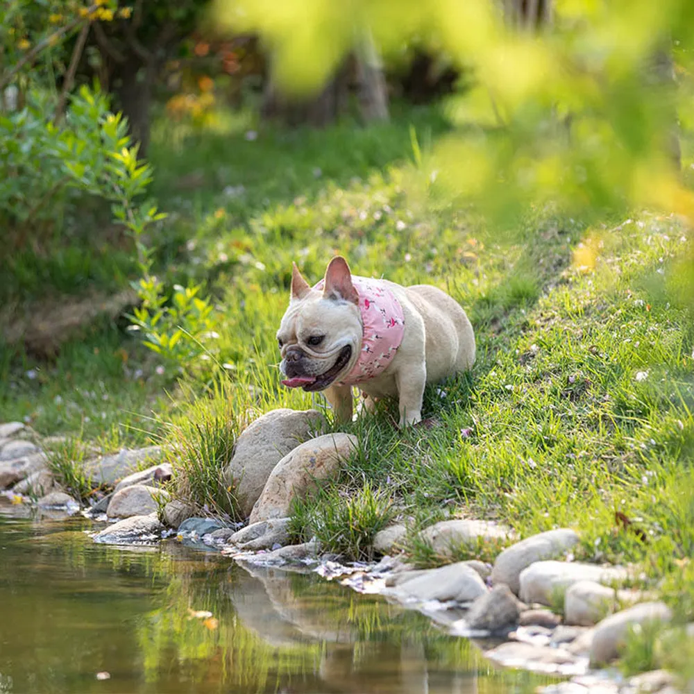 Frenchie Summer Cooling Scarf Anti-Heatstroke