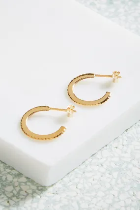 Gold Solar Hoops