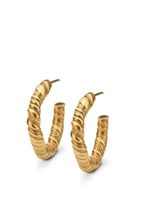 Nautilus Hoop Earrings