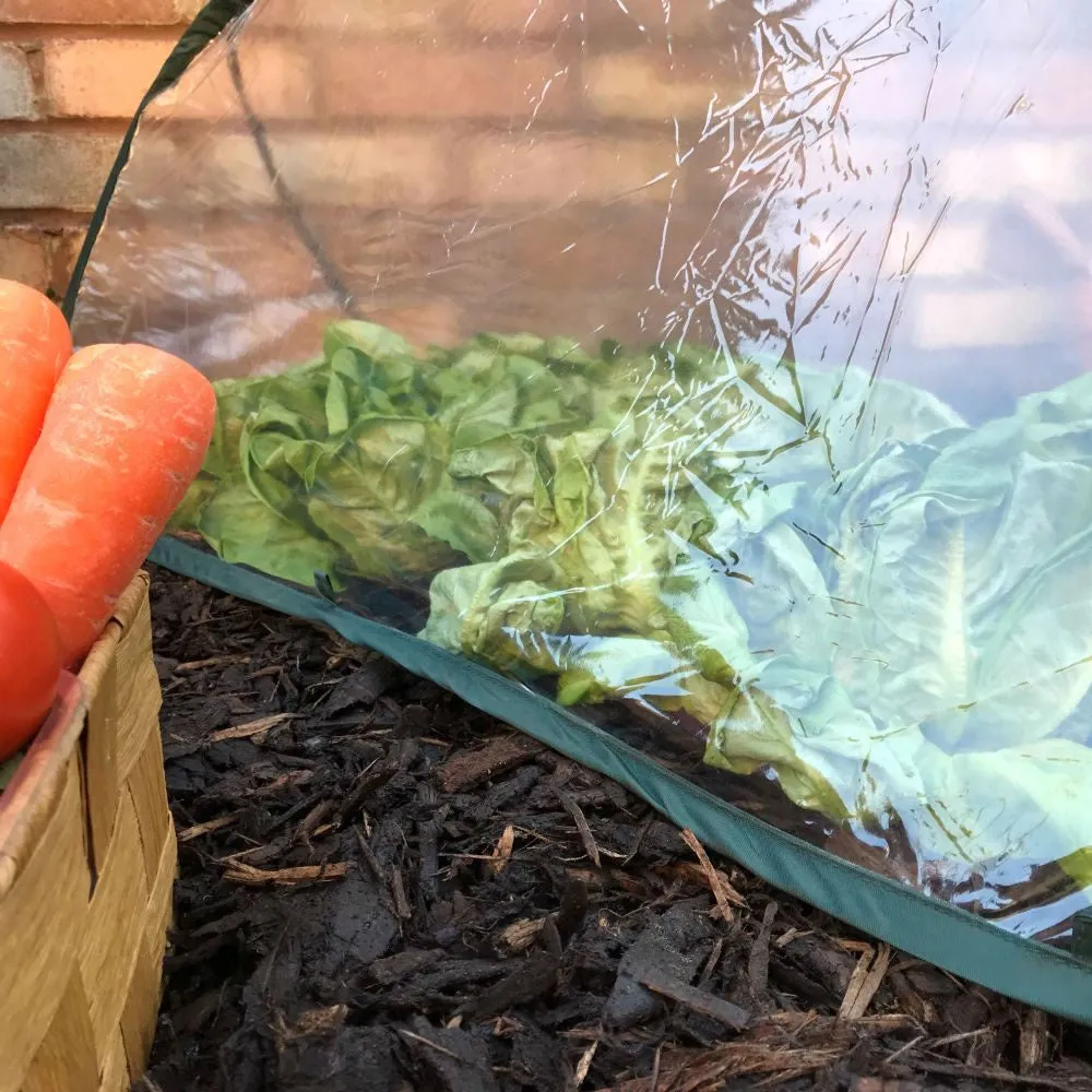 Pop Up Mini Greenhouse & Polytunnel Cloche