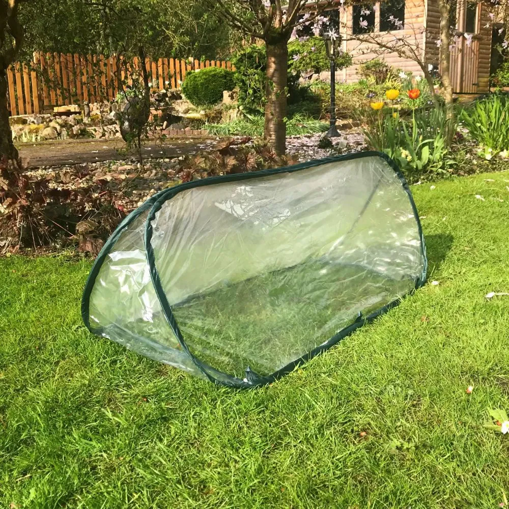 Pop Up Mini Greenhouse & Polytunnel Cloche