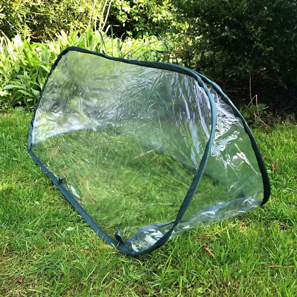 Pop Up Mini Greenhouse & Polytunnel Cloche