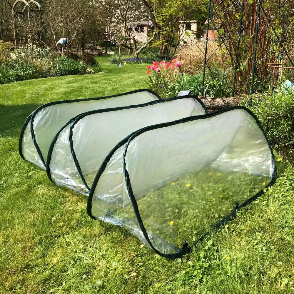 Pop Up Mini Greenhouse & Polytunnel Cloche