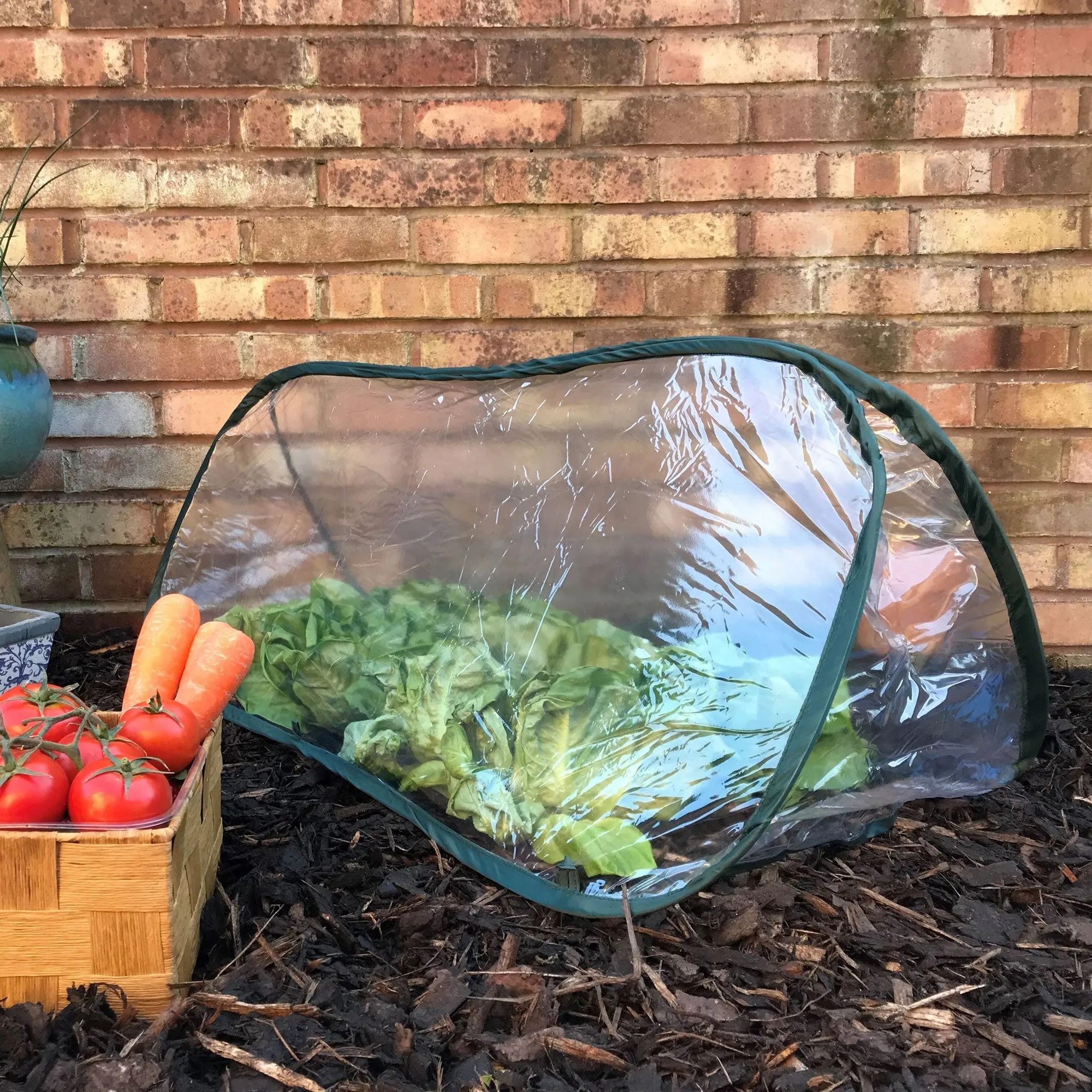 Pop Up Mini Greenhouse & Polytunnel Cloche