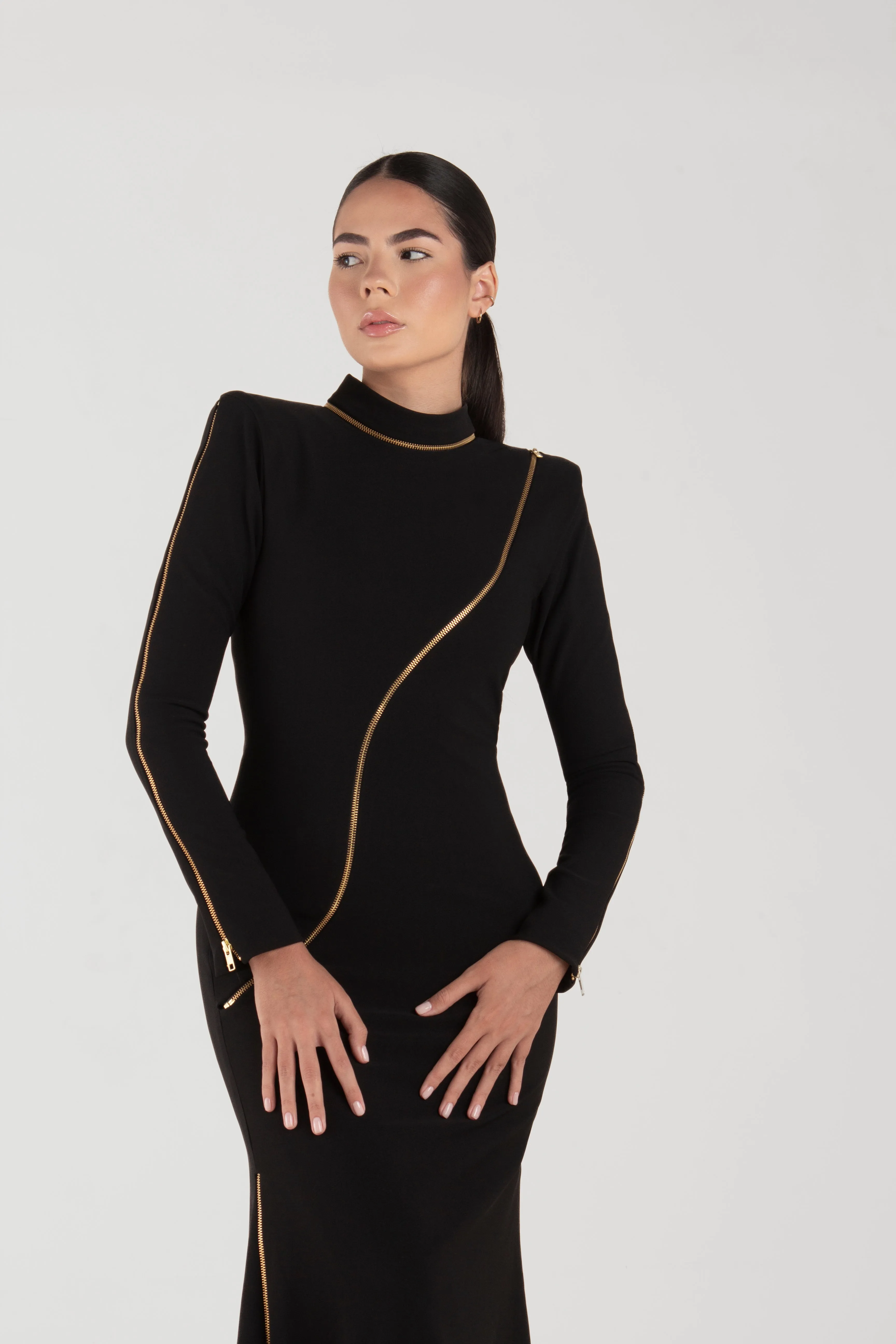 Rina Black Long Sleeve Dress