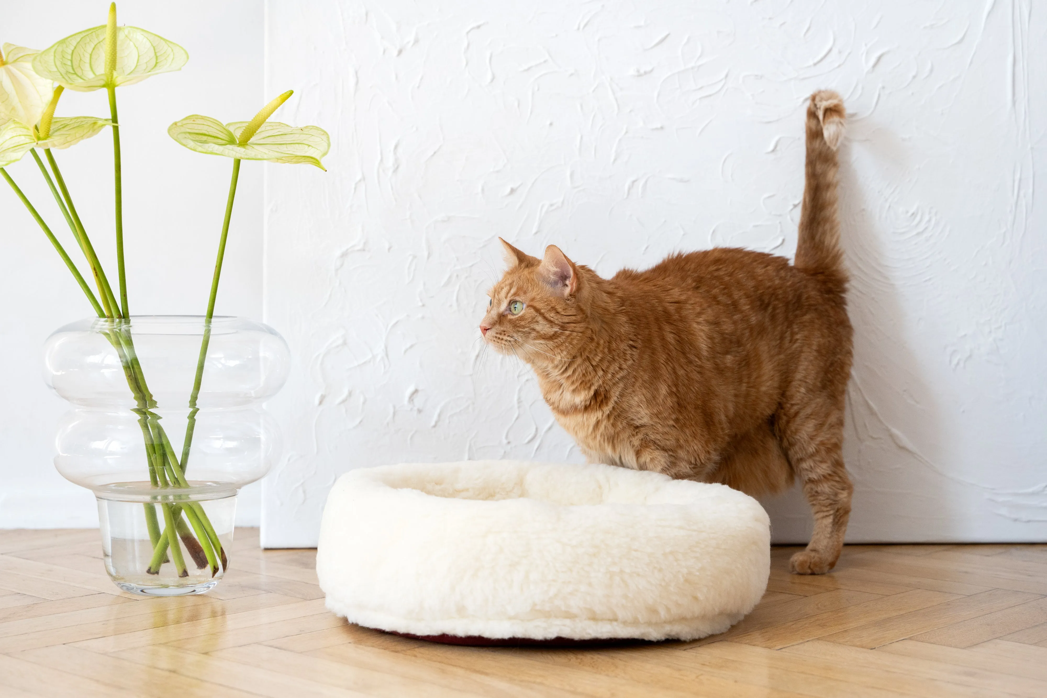 Round Natural Wool Pet Bed - White