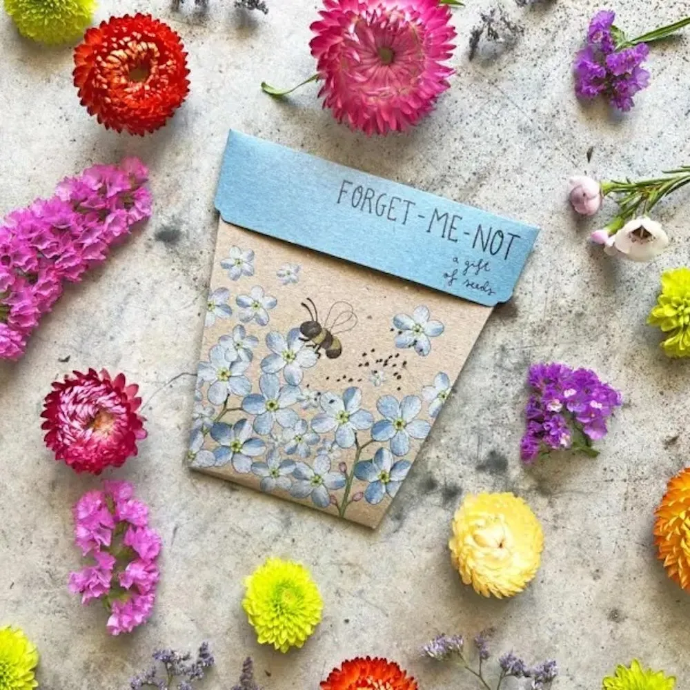 Sow 'n' Sow A Gift of Seeds - Forget-Me-Not