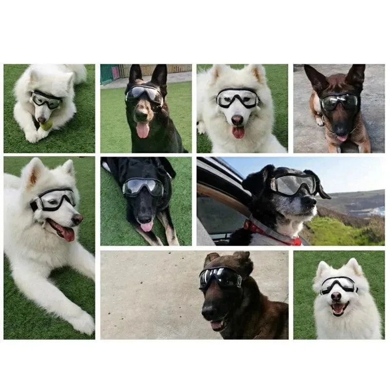 Stylish UV Protection Pet Goggles