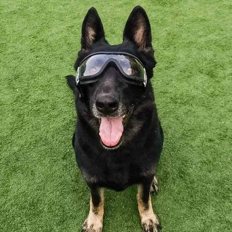 Stylish UV Protection Pet Goggles