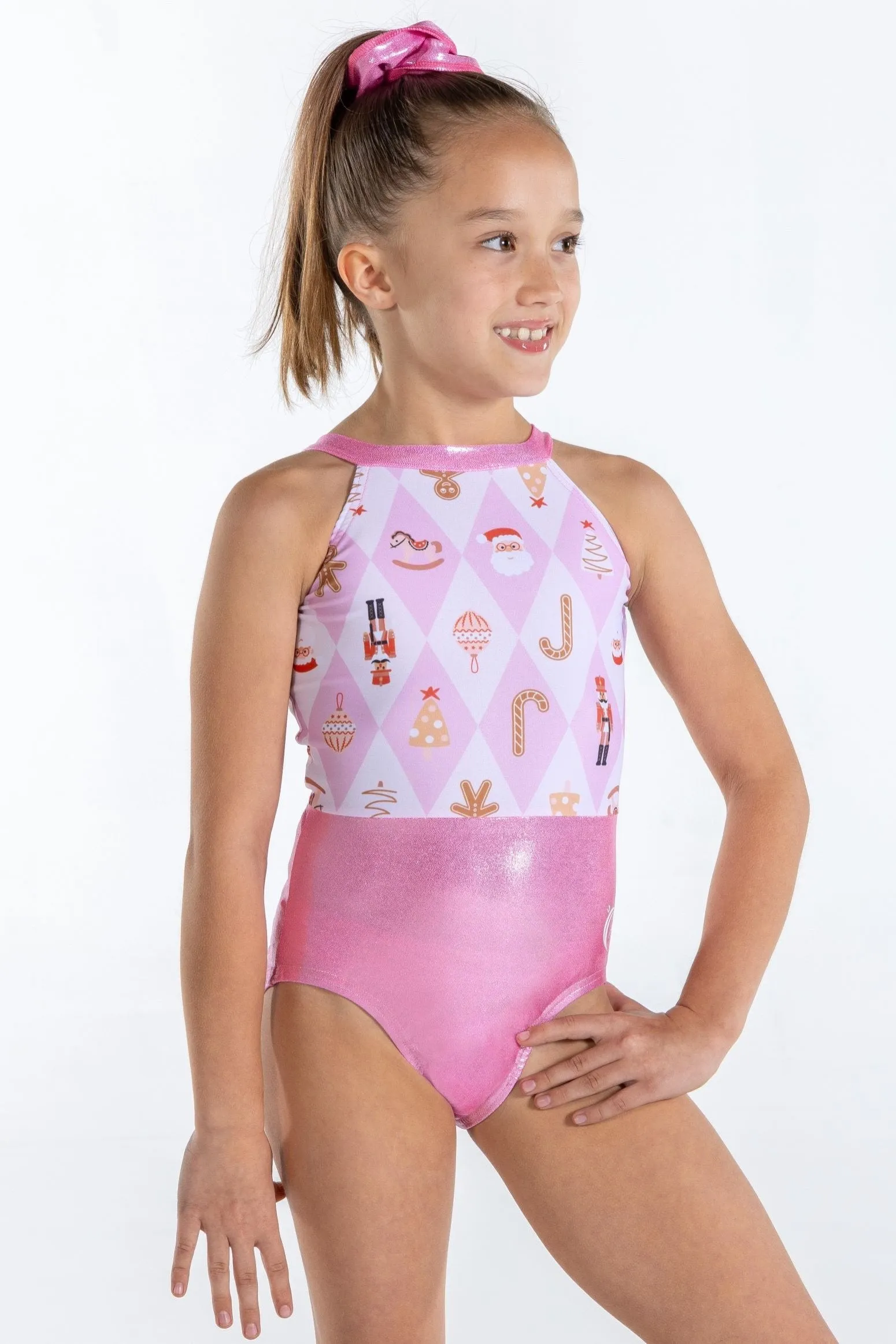 Sugar Plum and Winter Wonderland Leotard Bundle