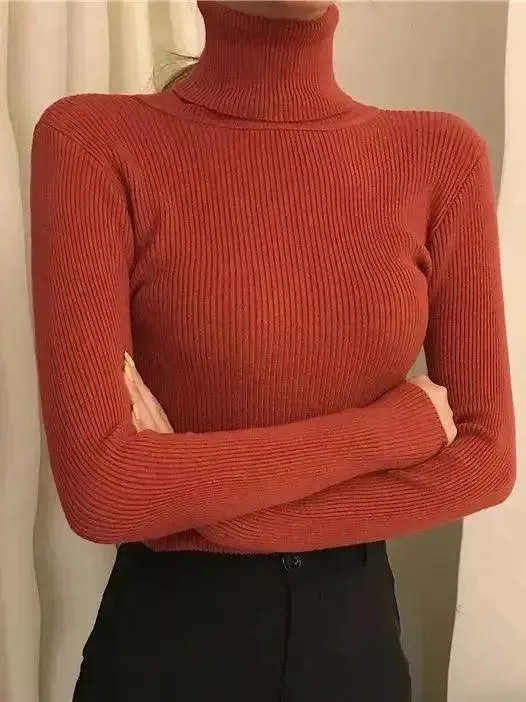 Trendy Women's Turtleneck Sweater for the Perfect Autumn/Winter Look